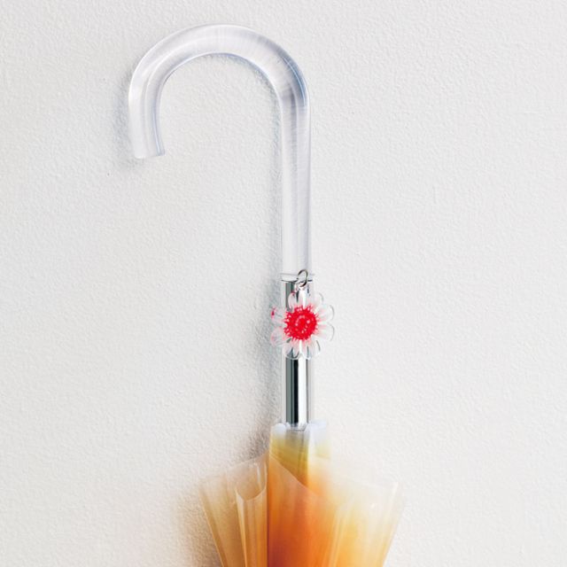 ô sứa đốm ô sứa đốm